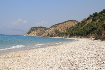 IMG_3781.JPG