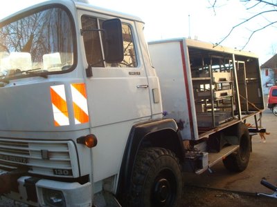 magirrrrrus2.JPG