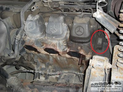 20110312_006.jpg