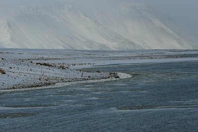 IMG_1312.jpg