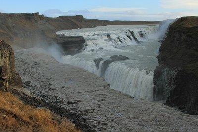 IMG_1100.jpg