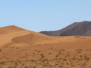 k-IMG_4878.JPG