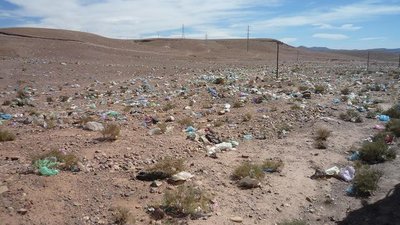 tote Plastiktütentiere am Straßenrand