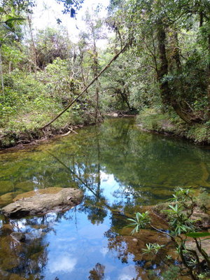 P1070217.JPG