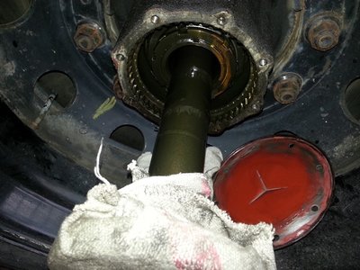 05.jpg