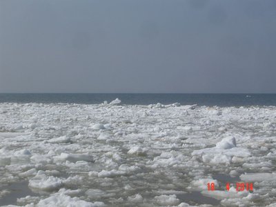 DSC05807z.jpg