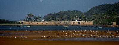 DSC00921 (1024x386) (1024x386).jpg