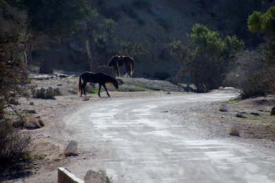 DSC01195 (2) (1024x683).jpg