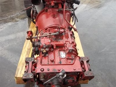 zf 1.jpg