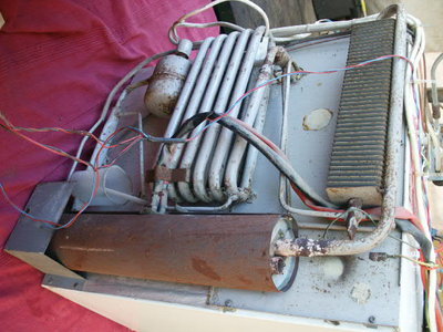 PICT1694.JPG