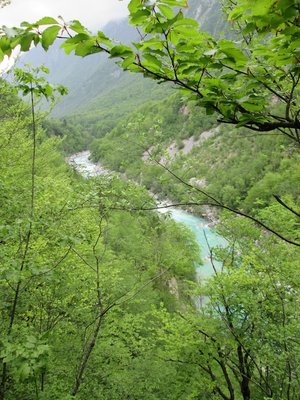 IMG_0195.JPG
