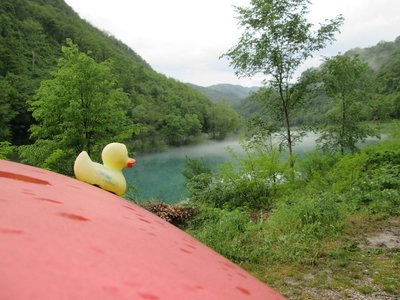 IMG_0161.JPG