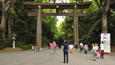 Torii im Meiji Schrein