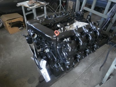 980.JPG