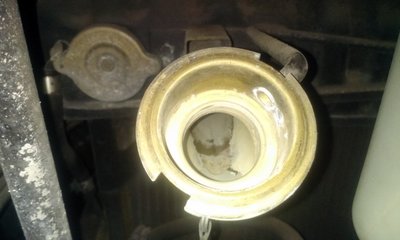 IMAG0304.jpg