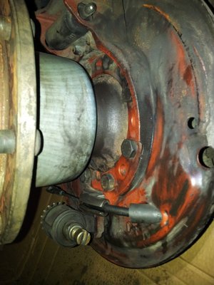 20111120_171057.jpg