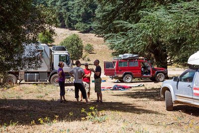 2014 mantoco Weltreise Marokko Cedre Gouraud Azrou Travellertreffen im Zedernwald.jpg