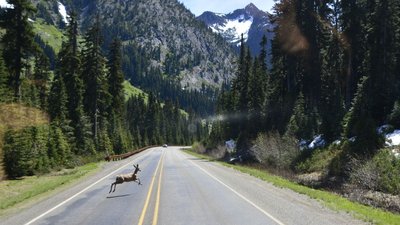 _D710229a.jpg