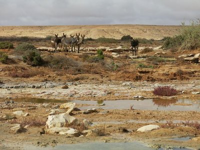 k-IMG_1102.JPG