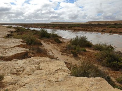 k-IMG_1085.JPG