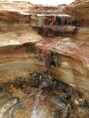 k-IMG_1095.JPG