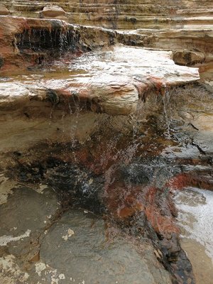k-IMG_1096.JPG