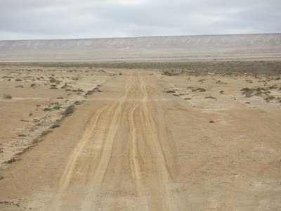 k-IMG_1123.JPG
