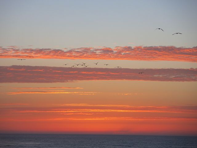 k-IMG_1220.JPG
