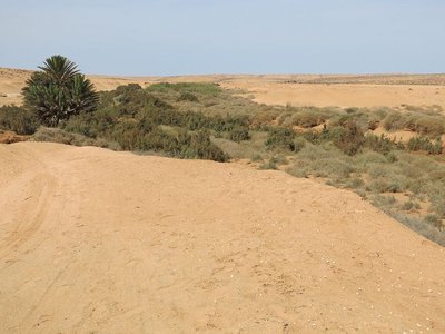 k-IMG_1256.JPG