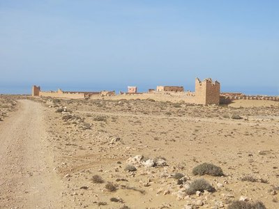 k-IMG_1264.JPG