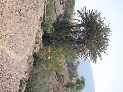 k-IMG_1401.JPG