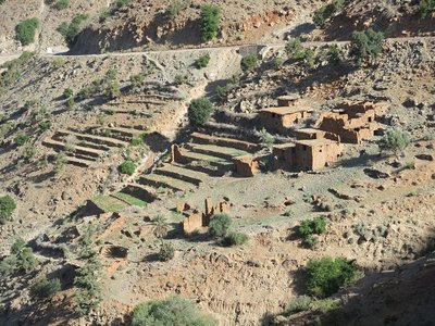 k-IMG_1447.JPG