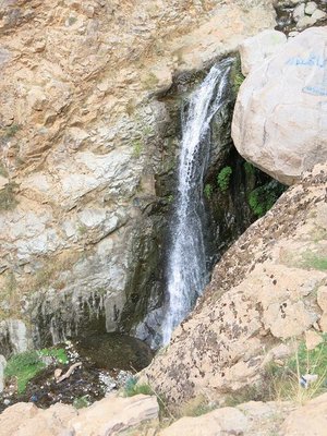 k-IMG_1504.JPG