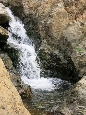 k-IMG_1509.JPG