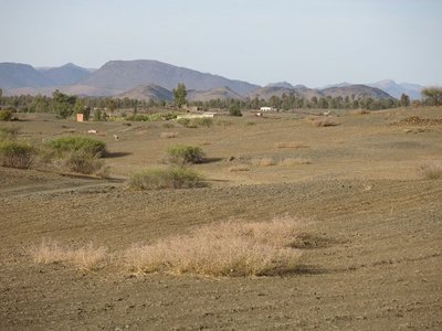 k-IMG_1571.JPG
