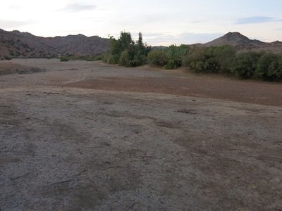 k-IMG_1579.JPG