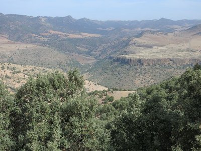 k-IMG_1589.JPG