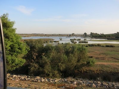 k-IMG_1806.JPG