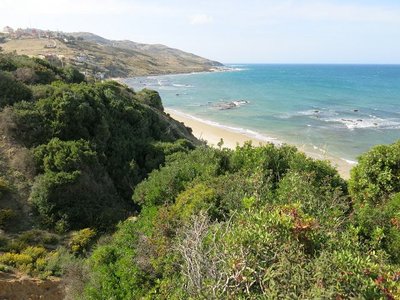 k-IMG_1823.JPG