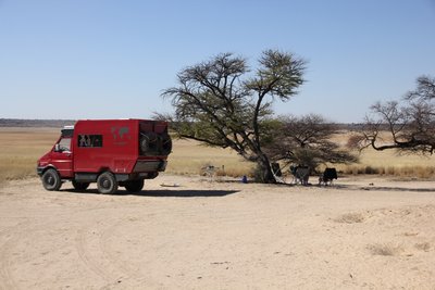 Iveco Turbo Daily