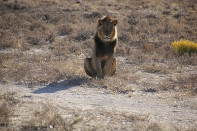 IMG_7872.JPG