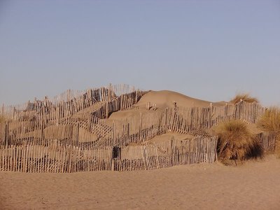 Pointe de ´Espiguette (2).JPG