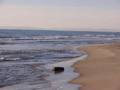 Pointe de ´Espiguette (3).JPG