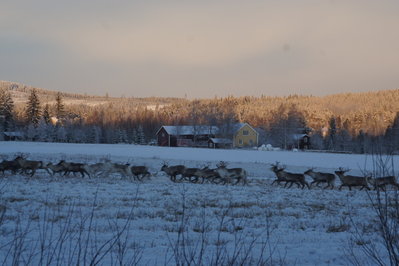 DSC08832_1.JPG