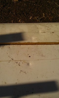 IMAG1073.jpg