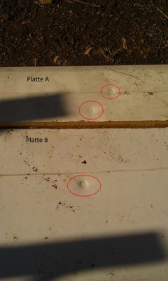 IMAG1073 1.jpg