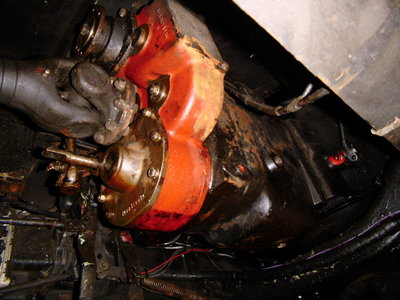 DSCI0541.JPG