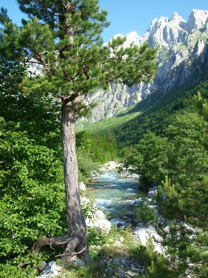 Bach neben Stellplatz