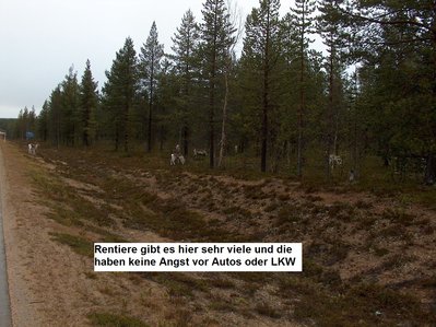 bild 05.JPG