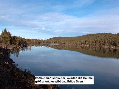 bild 03.JPG